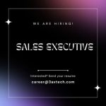 Sales Executive