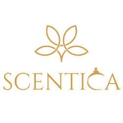 SCENTICA-without-bg 2.png