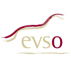 evso_logo